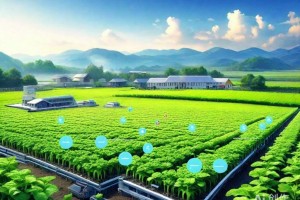 大数据云计算：双驱引擎加速企业数字化转型