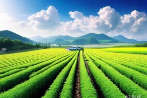 处理工程师视角跨界资源动态整合赋能站长新机遇