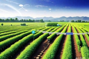 VR视角下的ASP进阶实战技巧解析