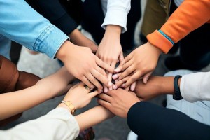 鸿蒙网站设计逻辑架构与高质感界面速成指南